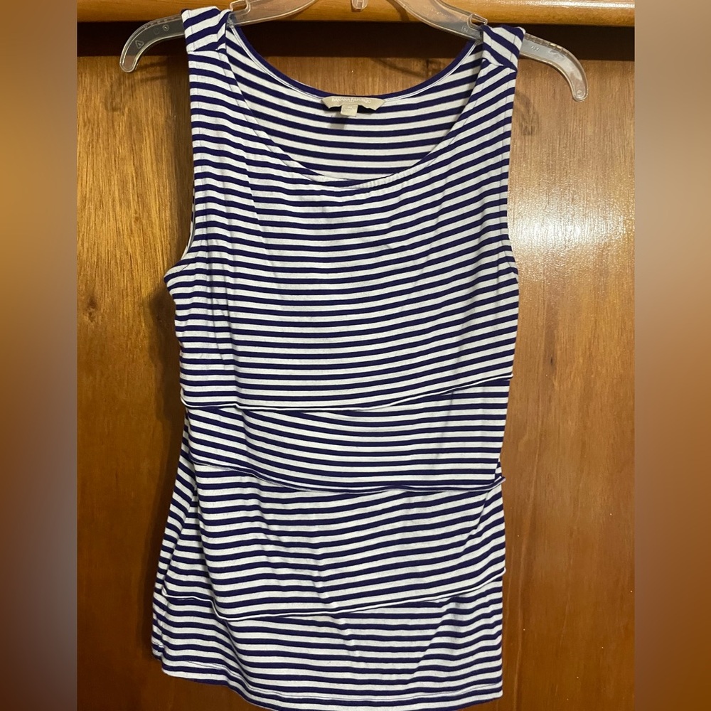 Banana Republic Blue and White Striped Top